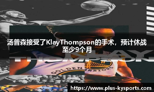开云kaiyun网页版