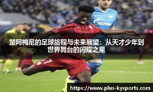 开云kaiyun首页