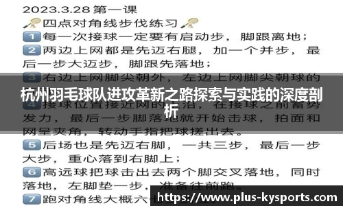 杭州羽毛球队进攻革新之路探索与实践的深度剖析